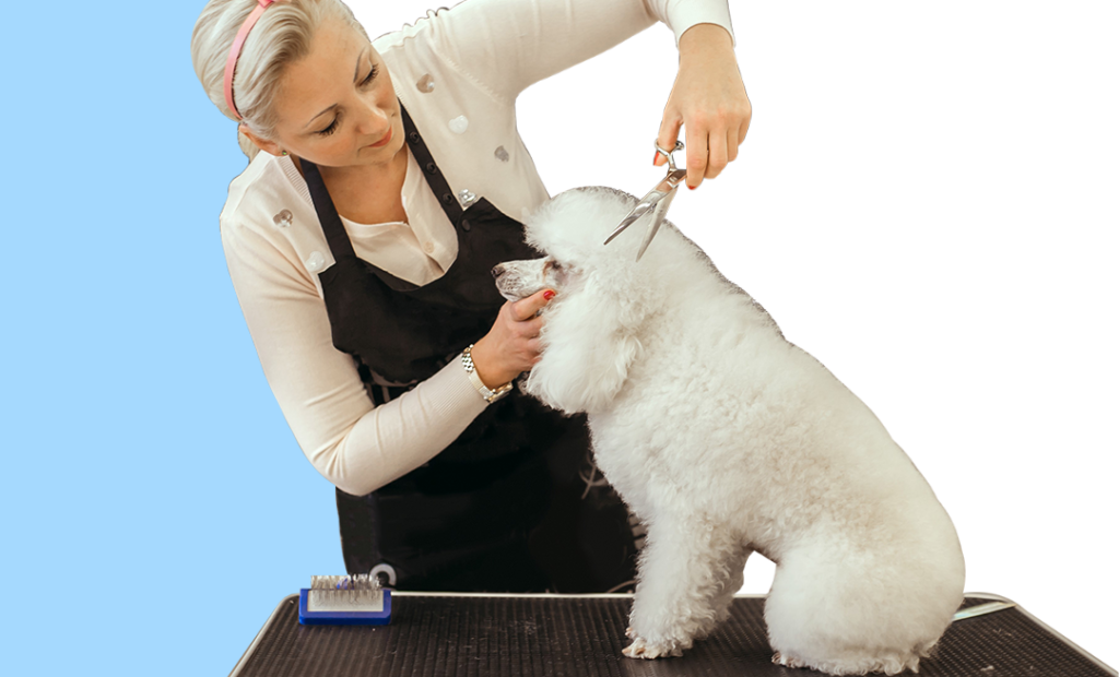 Dog Grooming and Self Service Pet Wash in Allen, TX Petbar
