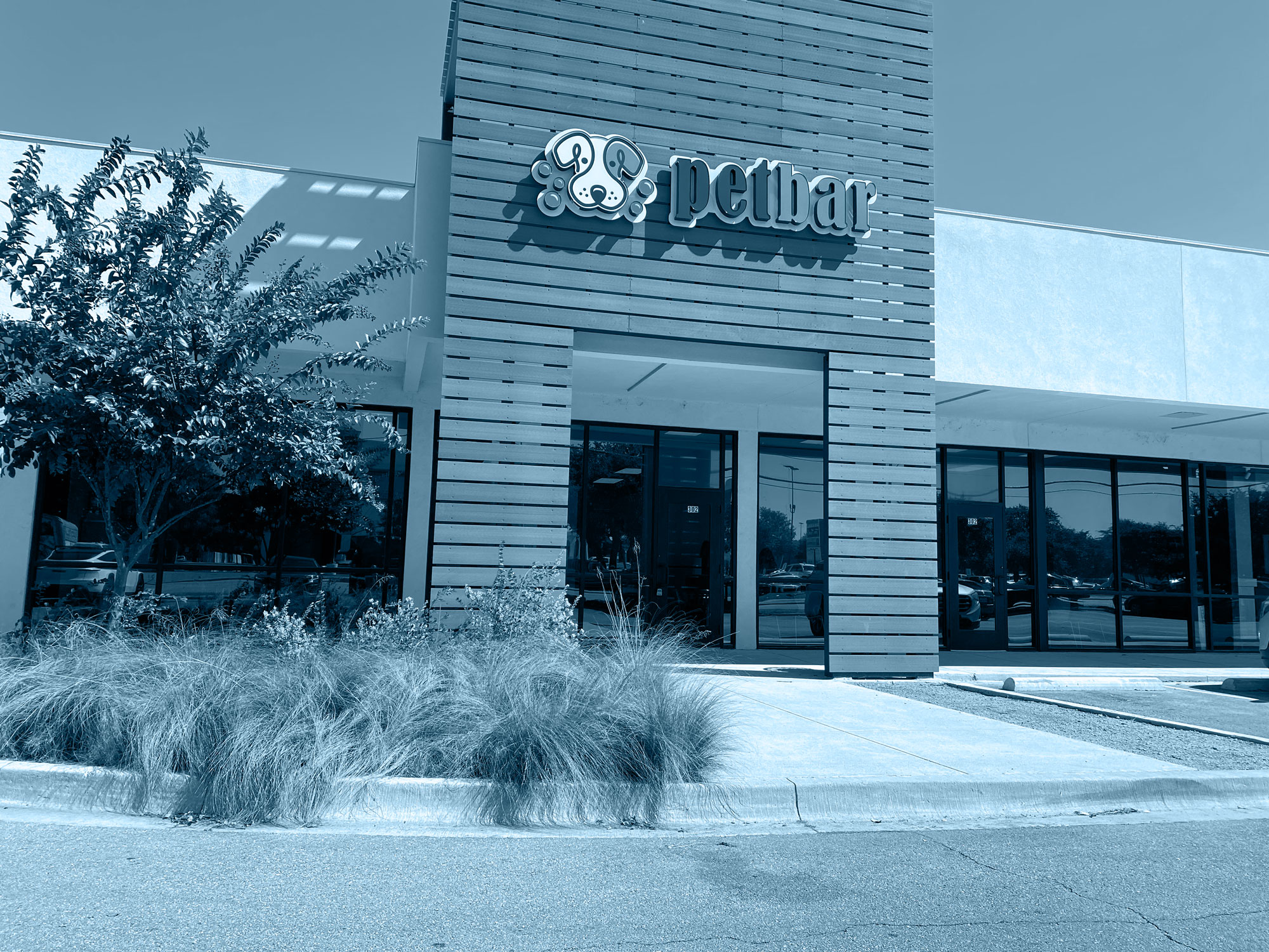 Premium pet grooming services in the Austin - Lakewood vicinity