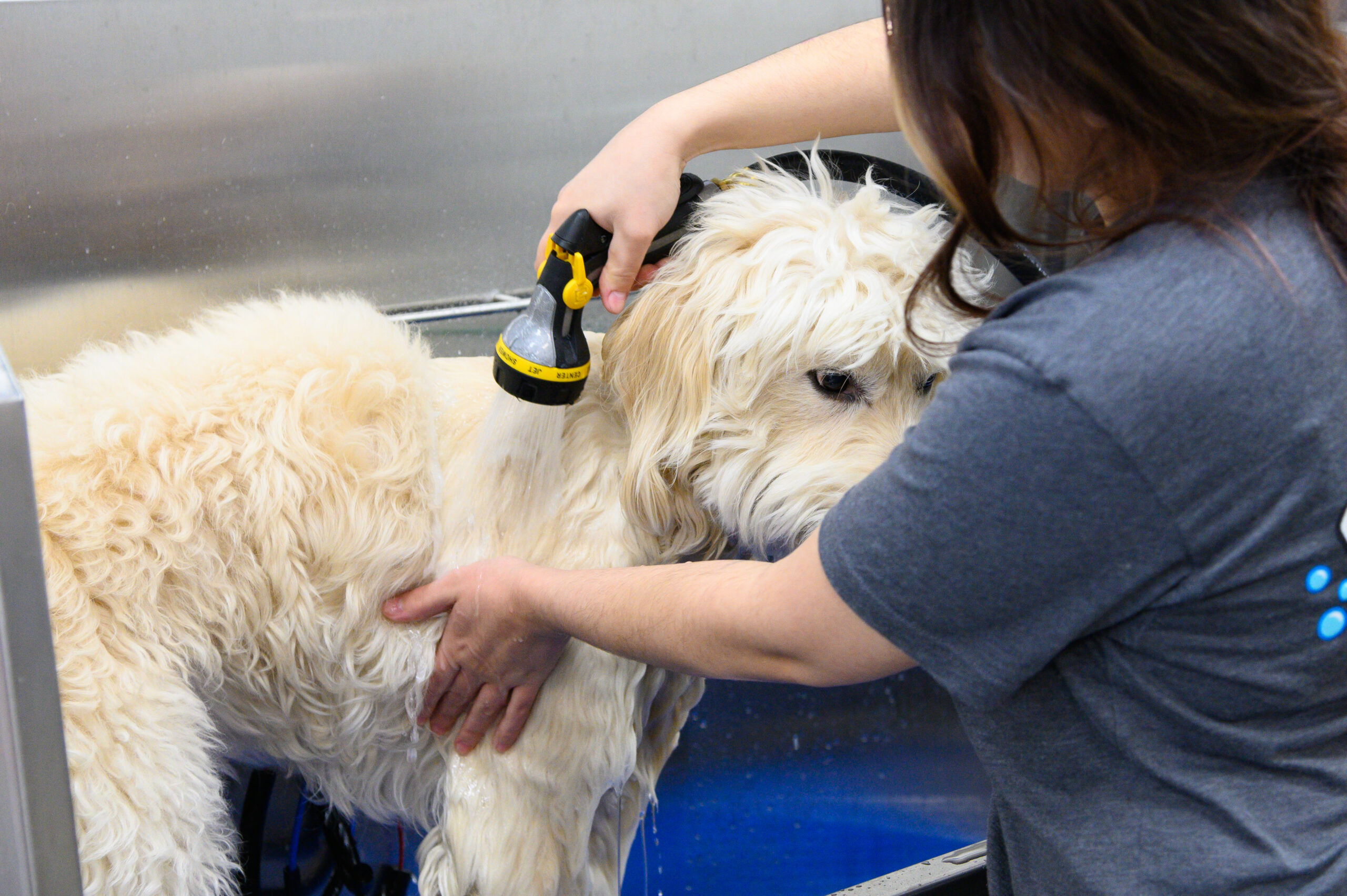 Full Service Bathing FM