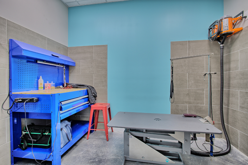 Find a dog groomer in Houston Heights to keep your pup looking and feeling their best