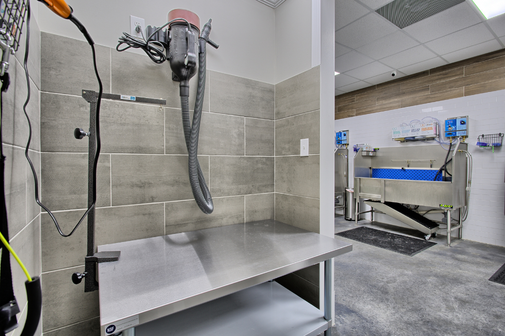 Our full-service bath and brush session provides your furry friend with the ultimate pampering experience