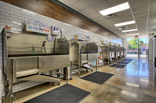 A modern self-service dog wash station in Bellaire, TX, featuring multiple washing bays equipped with adjustable hoses, shampoo dispensers, and drying stations, all designed for pet owners to bathe their dogs conveniently.