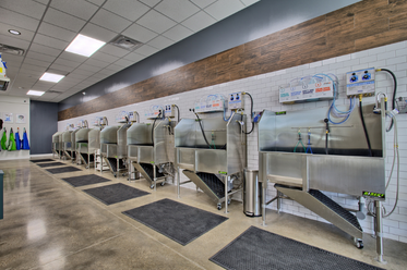 Self-service dog wash station in Oak Forest, TX: A spacious, well-equipped area for washing your furry friend at your convenience
