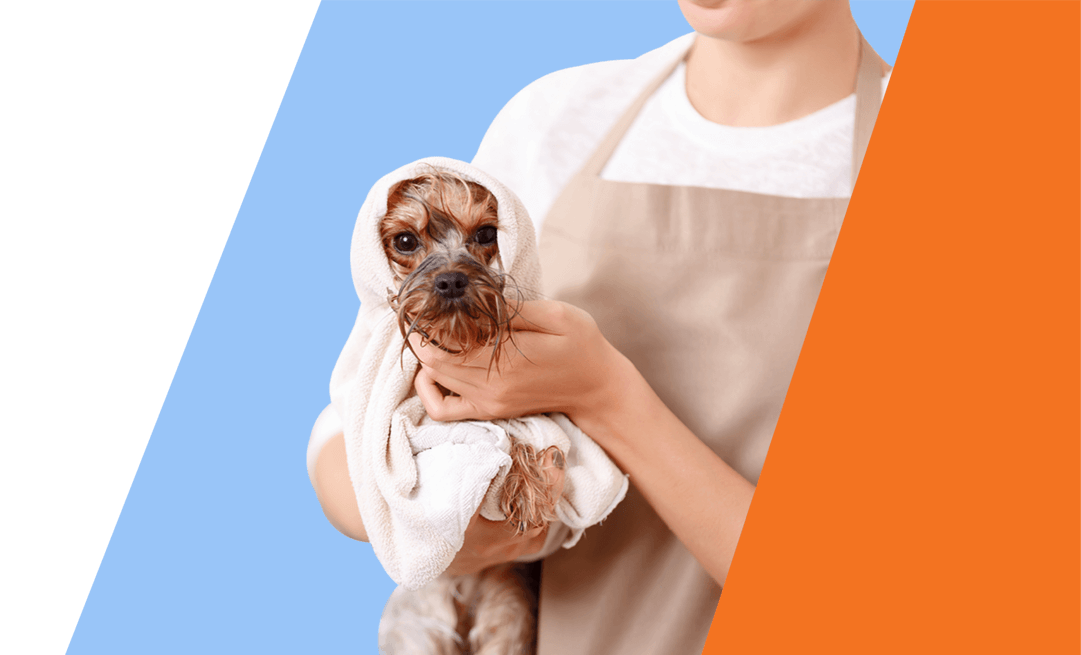 Our full-service dog grooming in Houston Heights offers a comprehensive range of grooming services to pamper your furry friend