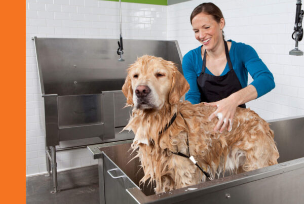 Top-rated dog grooming facility in Austin - Cedar Park with skilled and friendly staff