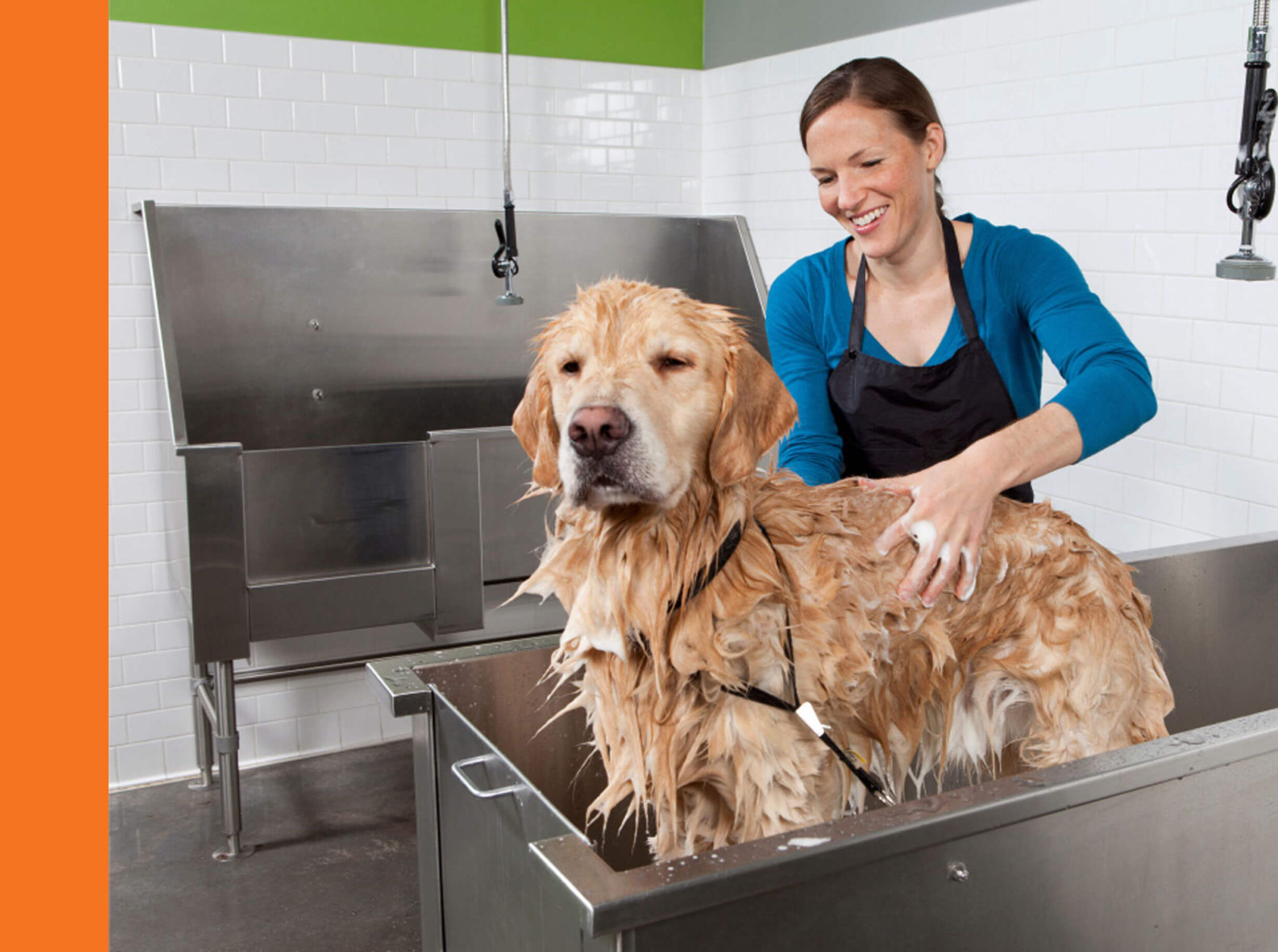 Top-rated dog grooming facility in Austin - Cedar Park with skilled and friendly staff