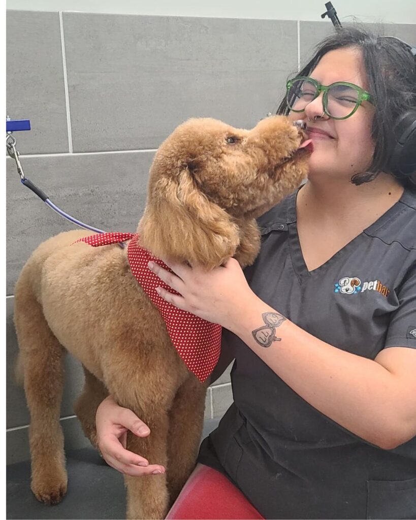 Dog grooming at petbar