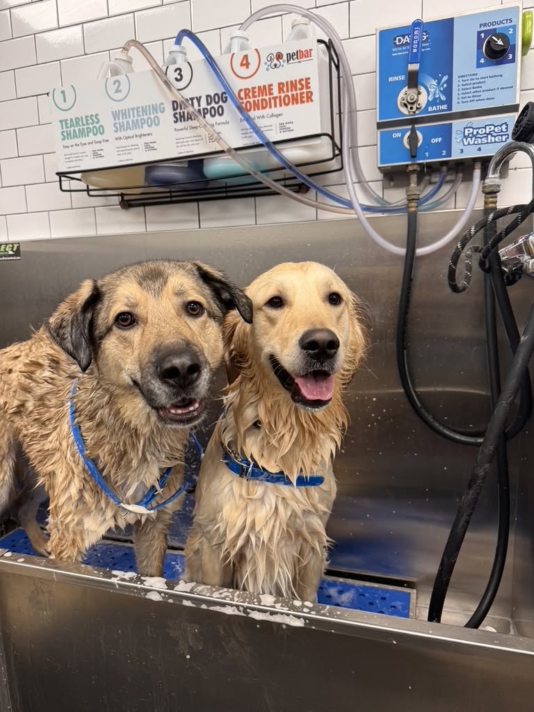 self-wash at petbar